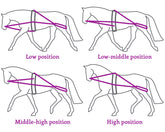 "Pessoa" kiképzőszár
